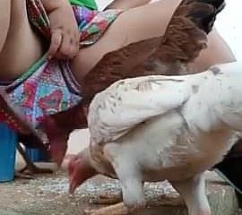 Must wait for desi bhabi feeding hen